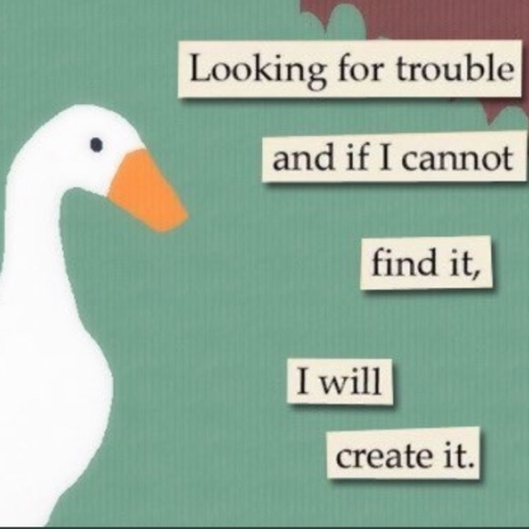 Meet your Posher, David - Picture 1 of 1